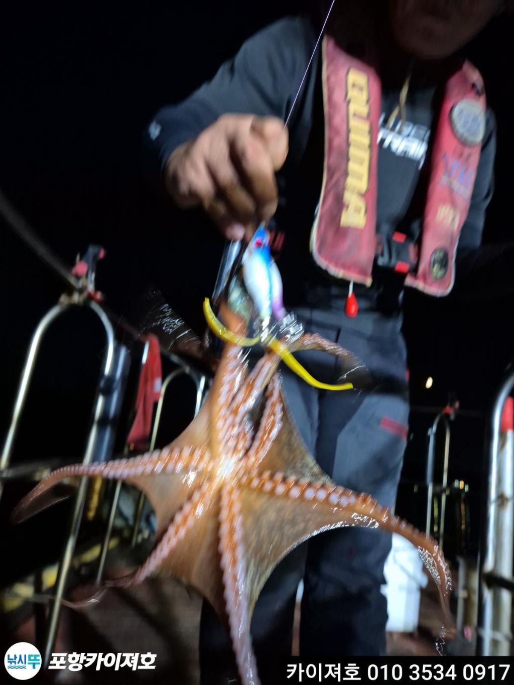 낚시뚜,문어,영일만항,포항카이져호,낚시뚜17