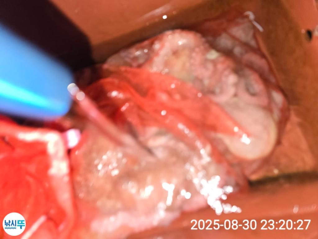 F2766746WD.jpg