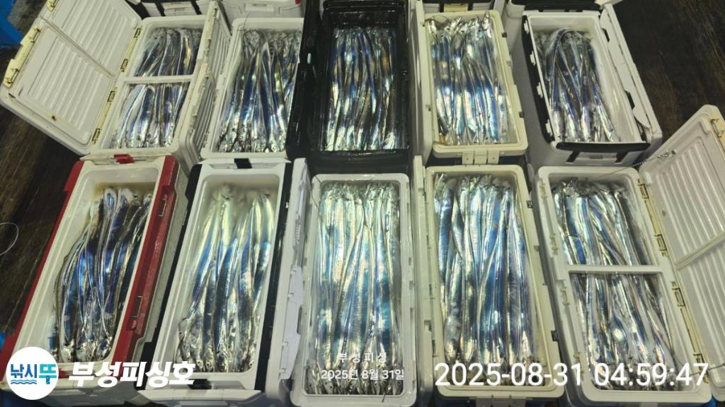 F2766890ZF.jpg