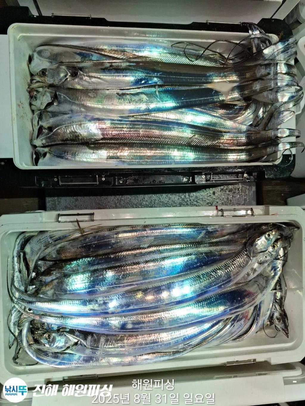 F2766967LQ.jpg