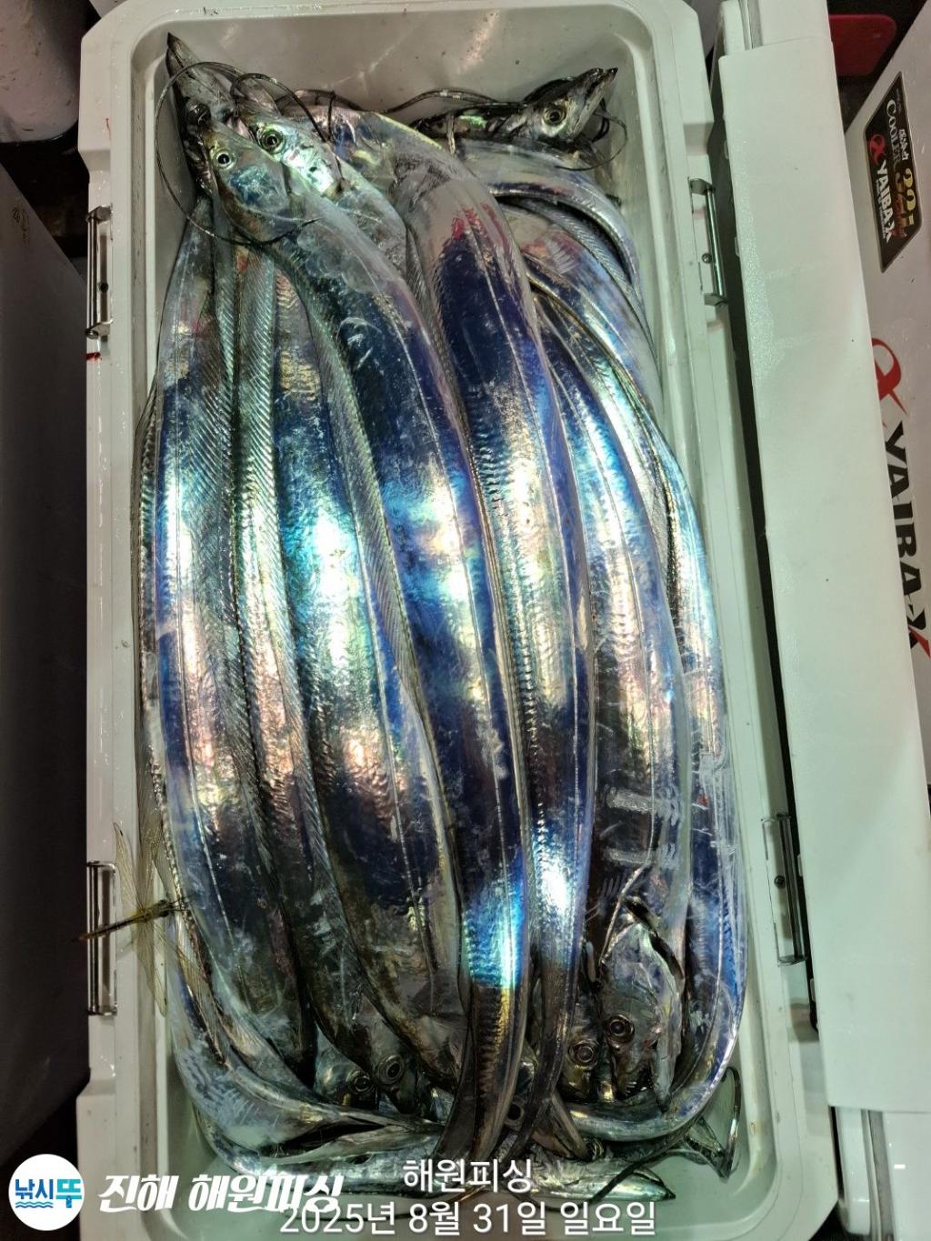 F2766970SS.jpg