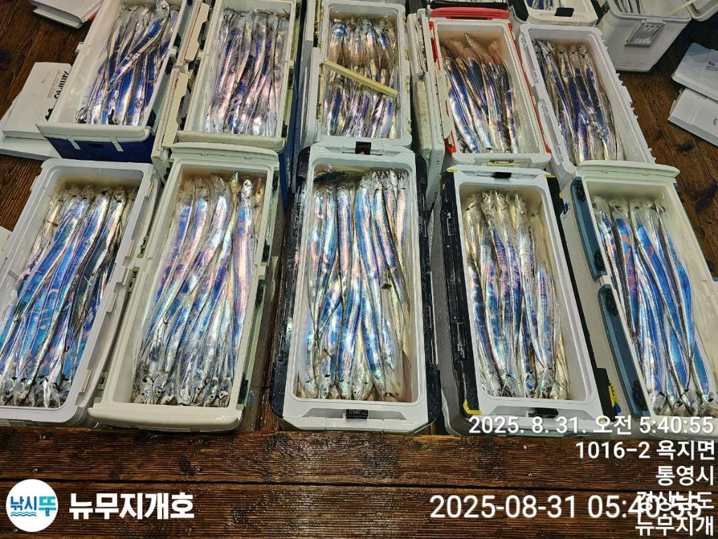 F2767110XV.jpg