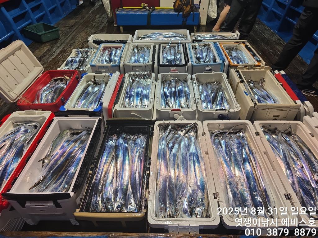 F2767204KV.jpg