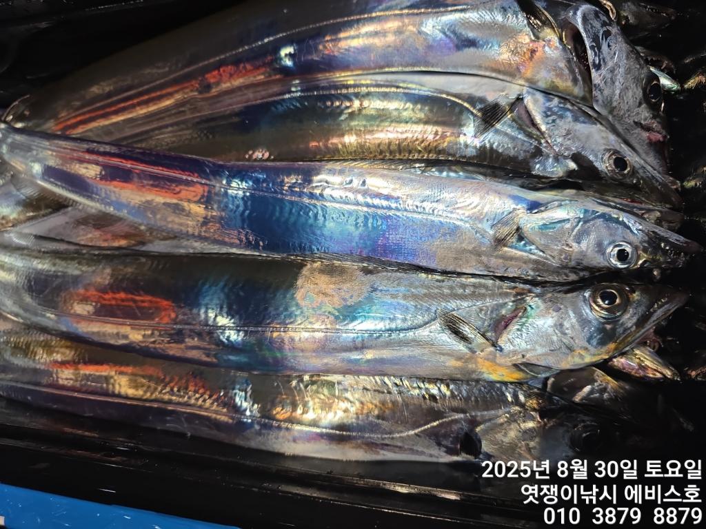 F2767220X0.jpg