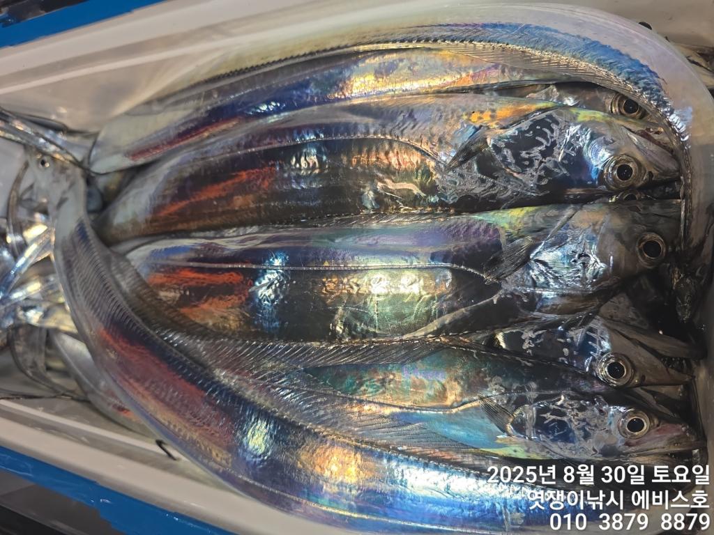 F27672227M.jpg