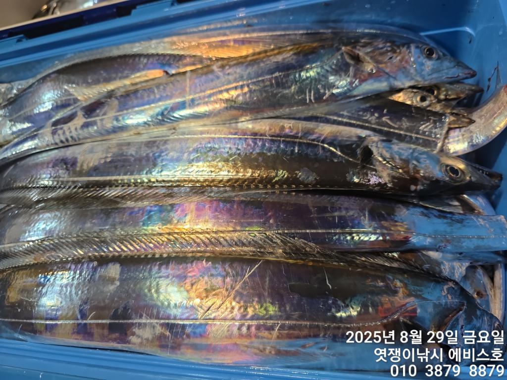 F2767242UD.jpg