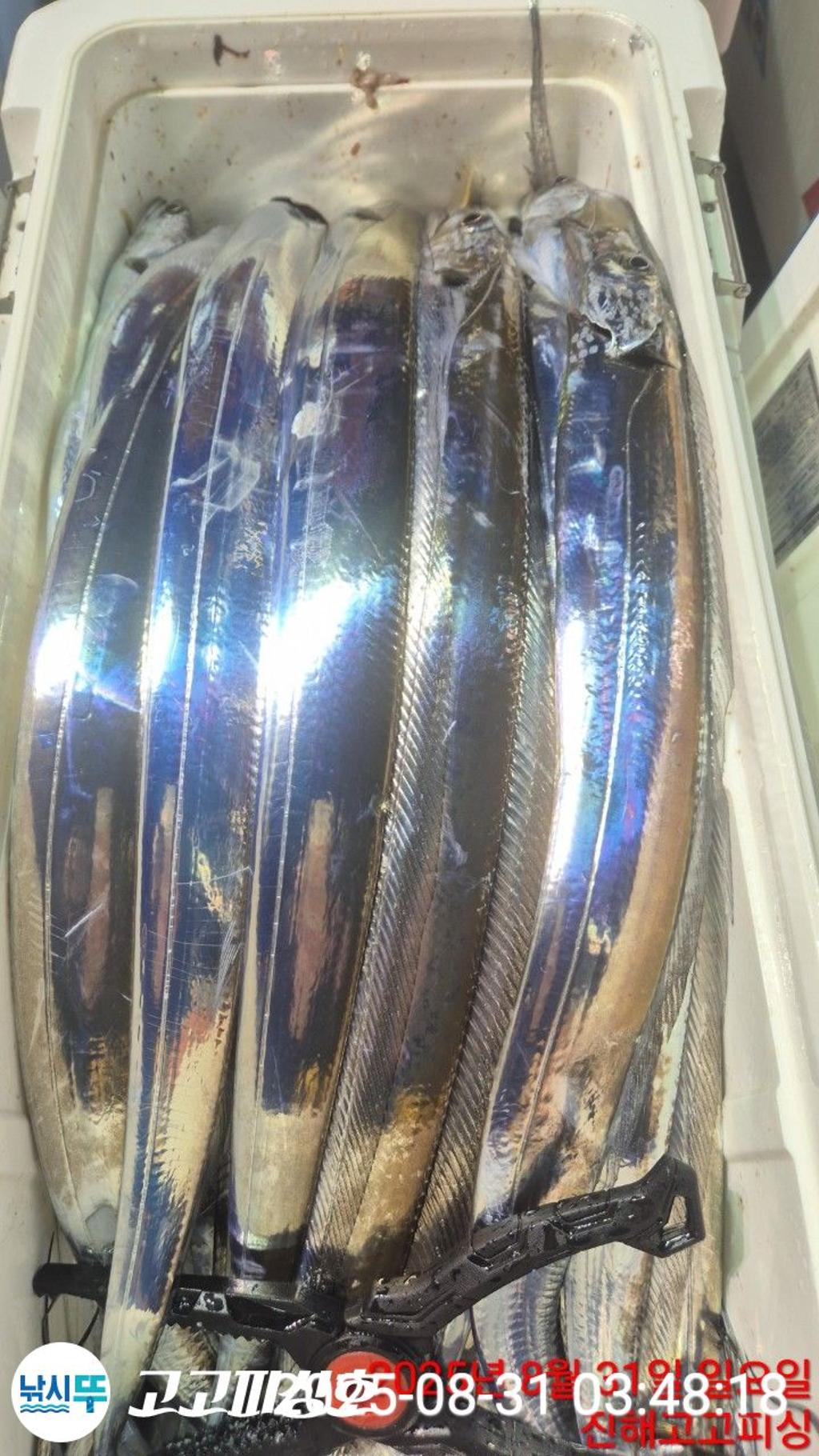 F27673532P.jpg