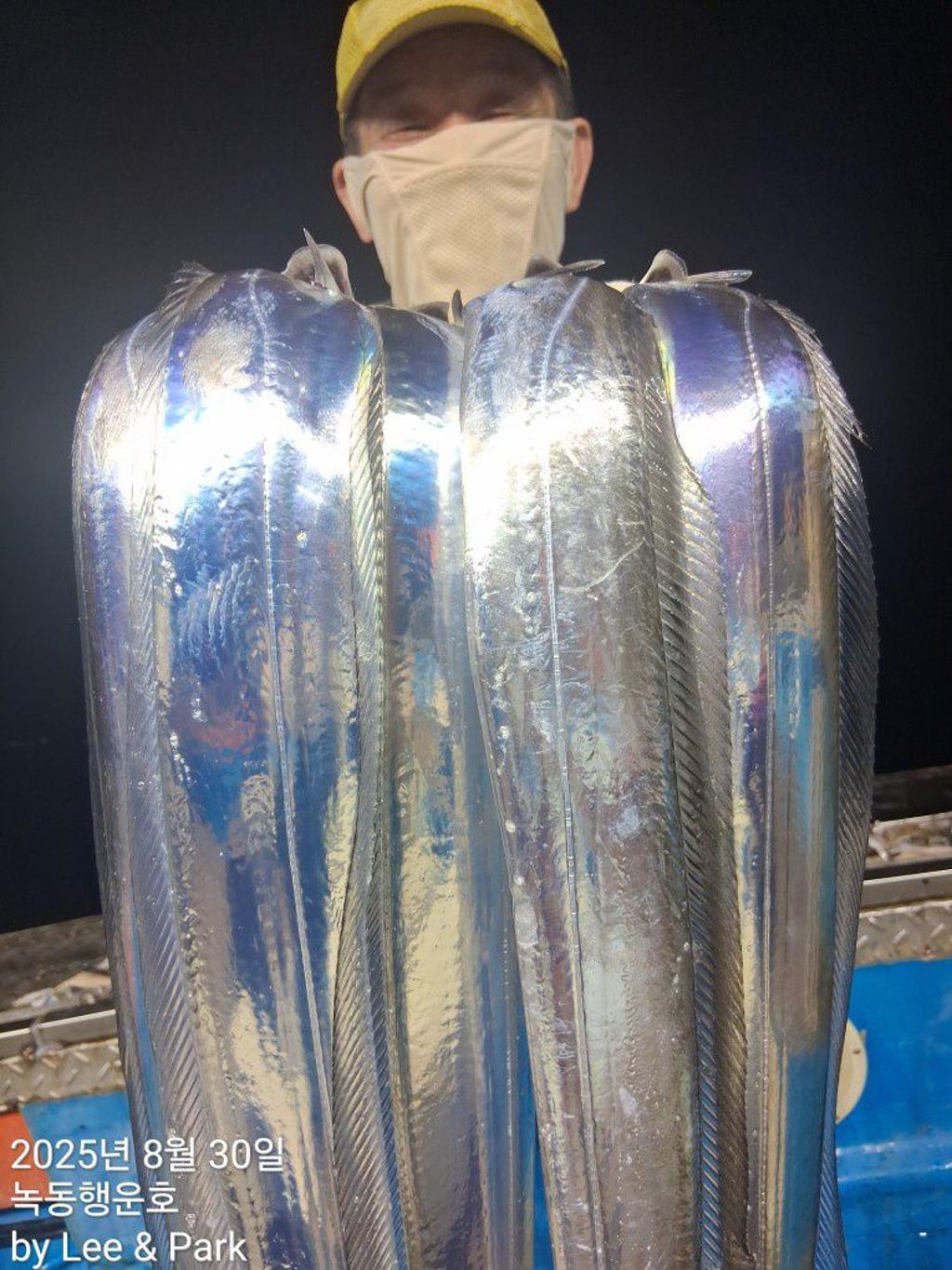 낚시뚜,갈치,녹동항,녹동대성호,낚시뚜37