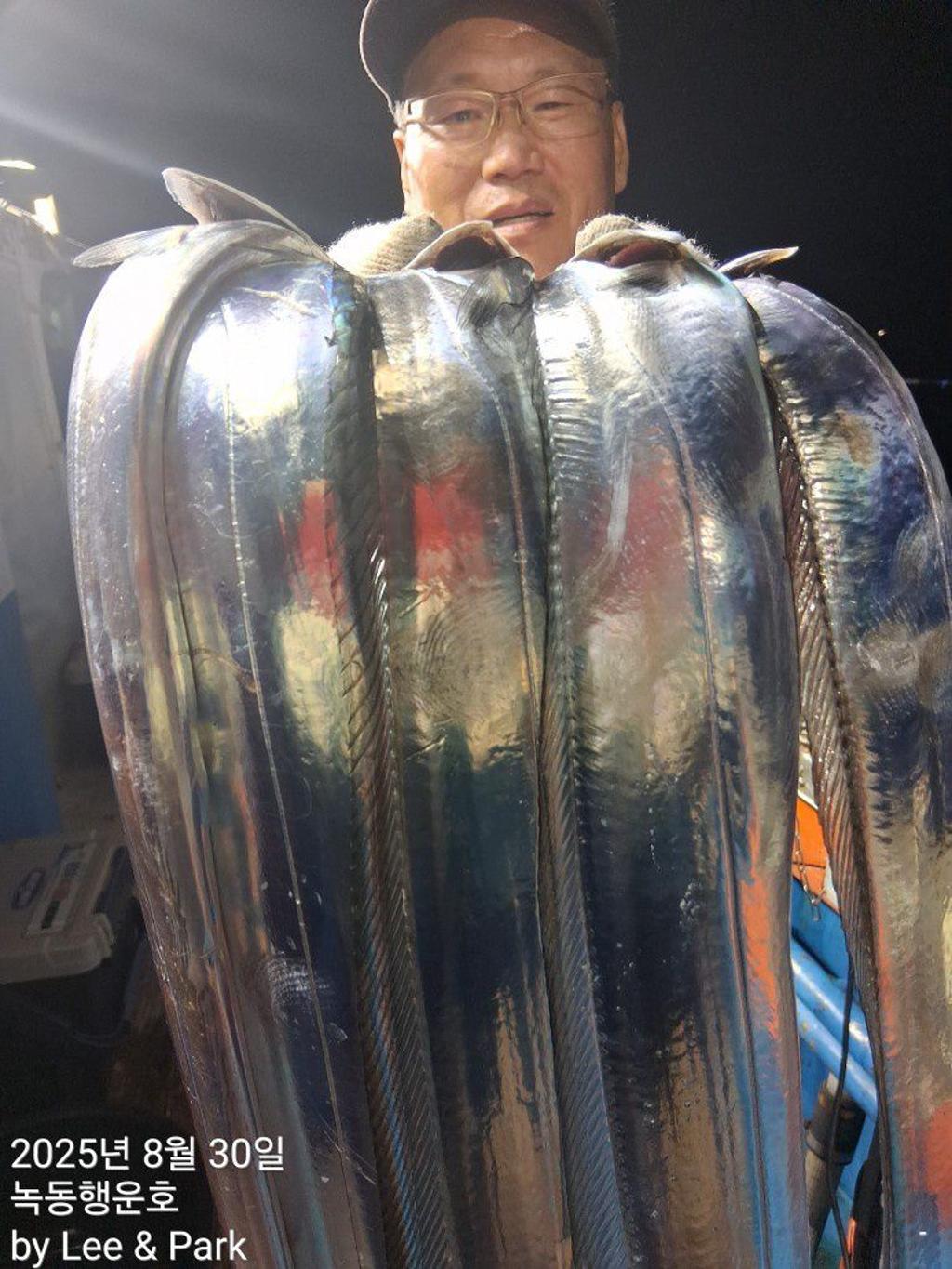 낚시뚜,갈치,녹동항,녹동대성호,낚시뚜36