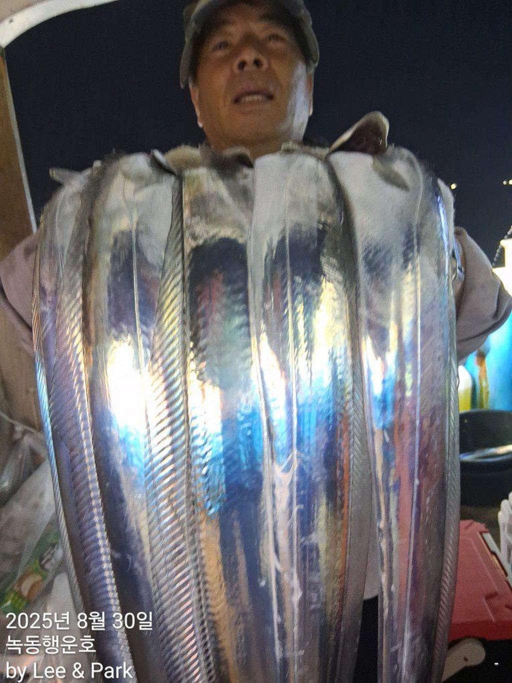 낚시뚜,갈치,녹동항,녹동대성호,낚시뚜29