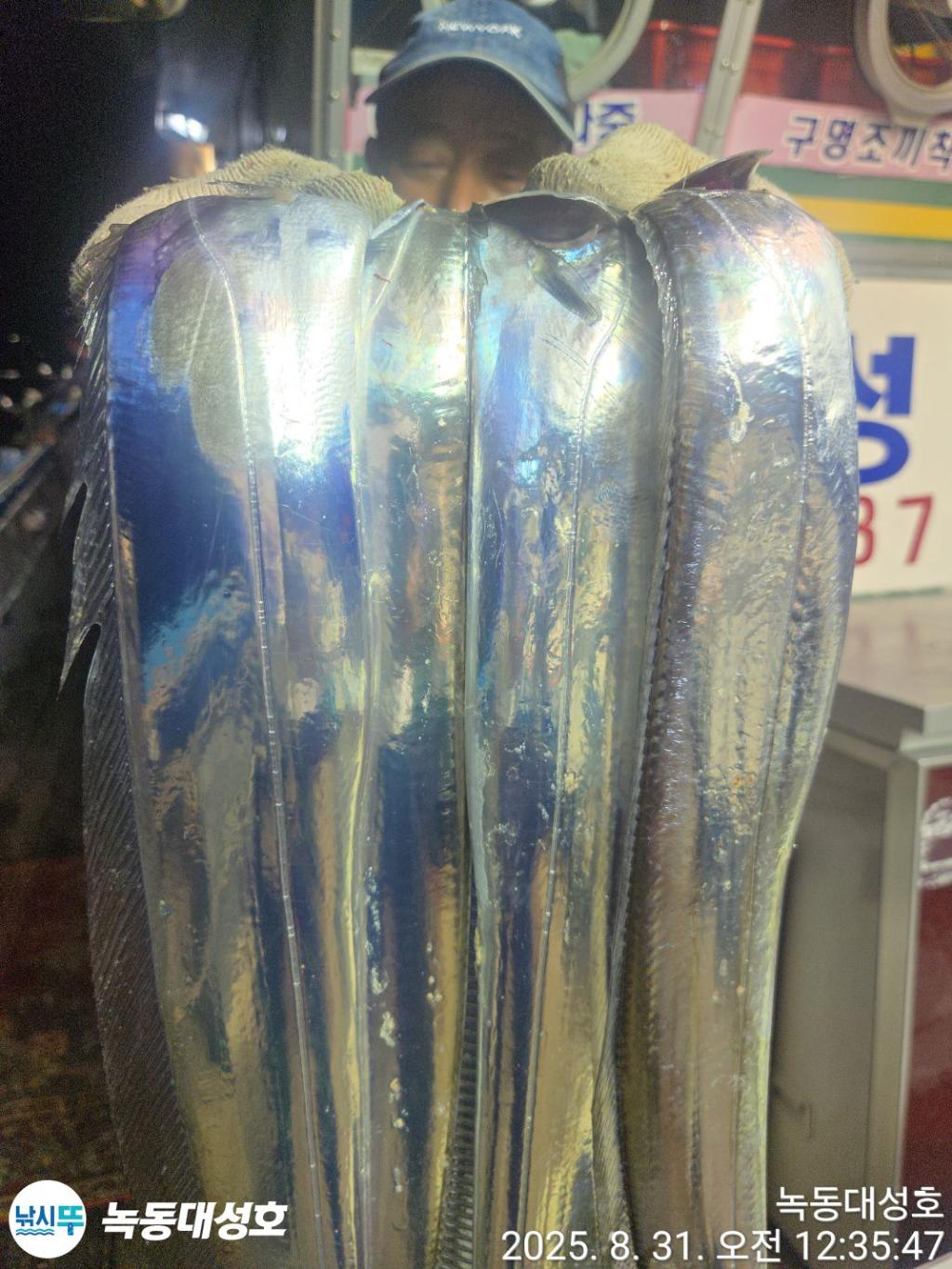 낚시뚜,갈치,녹동항,녹동대성호,낚시뚜26