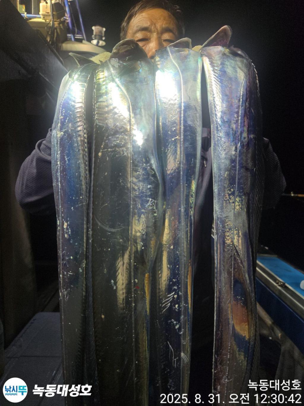 낚시뚜,갈치,녹동항,녹동대성호,낚시뚜25