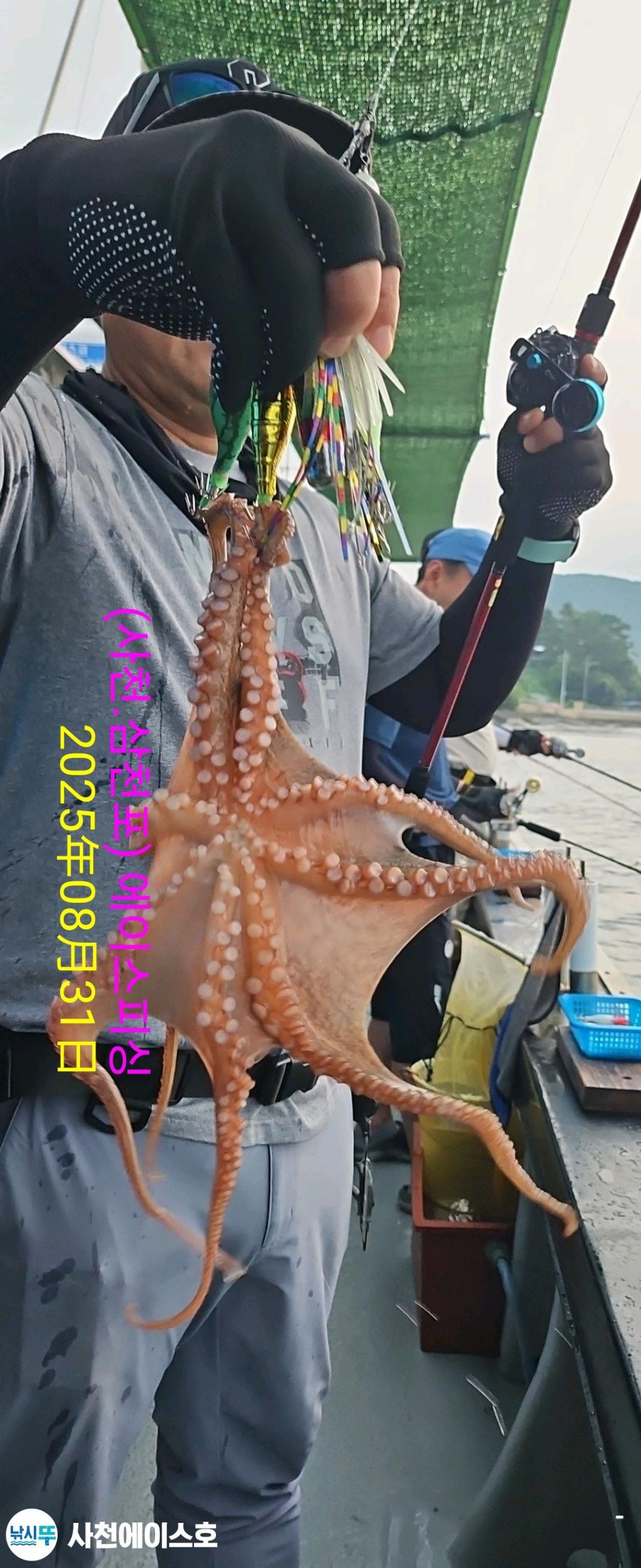 F2767463U5.jpg