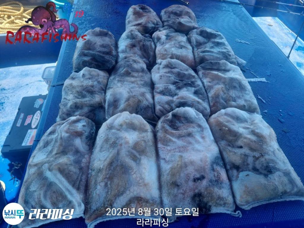 F27676133M.jpg