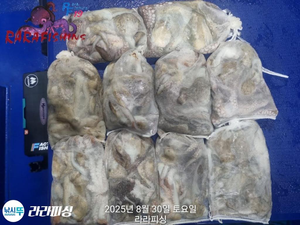 F2767616JE.jpg