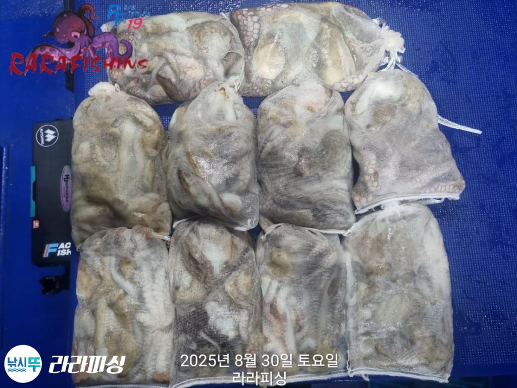 F27676179W.jpg