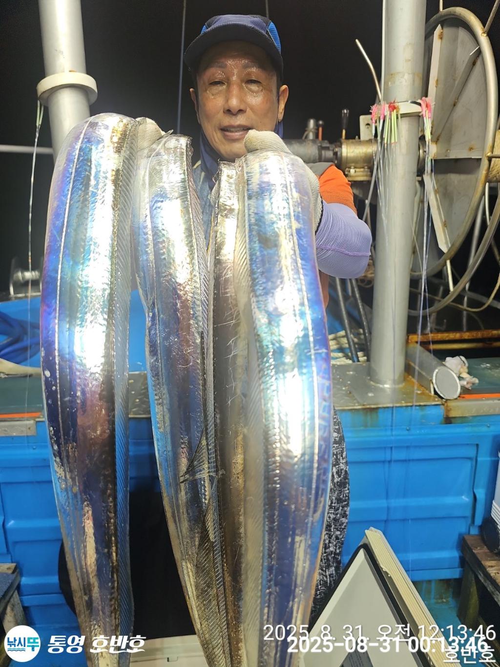 낚시뚜,갈치,통영 신전항,통영호반호,낚시뚜22