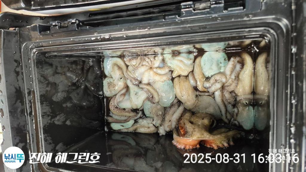 F2767720OG.jpg