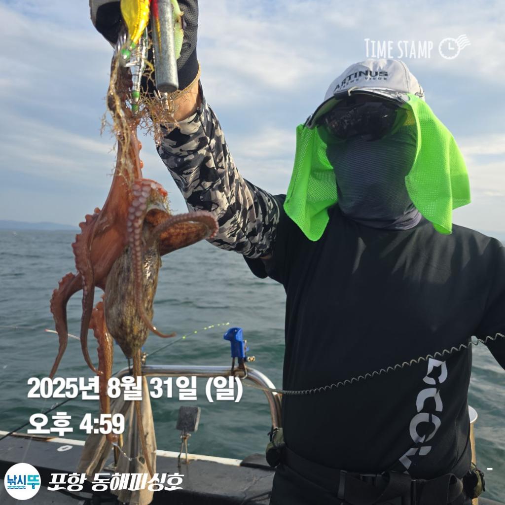 낚시뚜,돌문어,포항(운하관),포항 동해피싱호,낚시뚜9