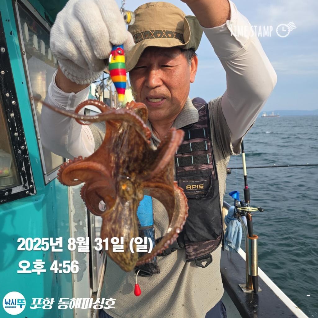 낚시뚜,돌문어,포항(운하관),포항 동해피싱호,낚시뚜8