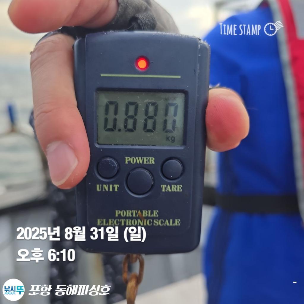 낚시뚜,돌문어,포항(운하관),포항 동해피싱호,낚시뚜1