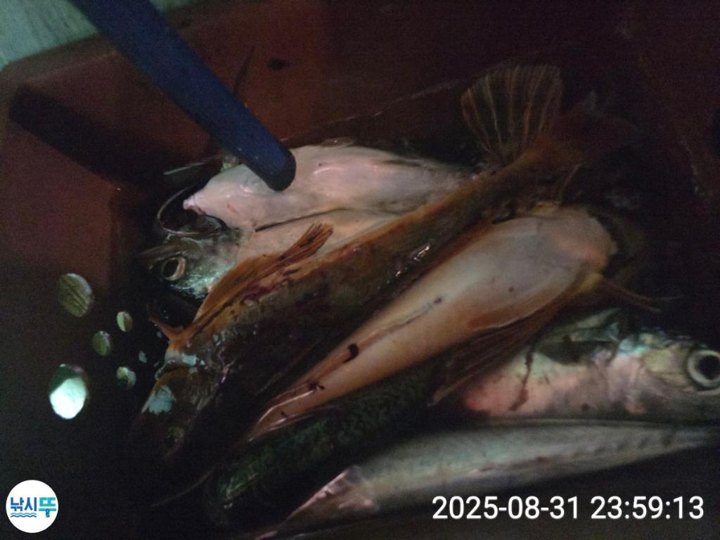 F2767893RU.jpg