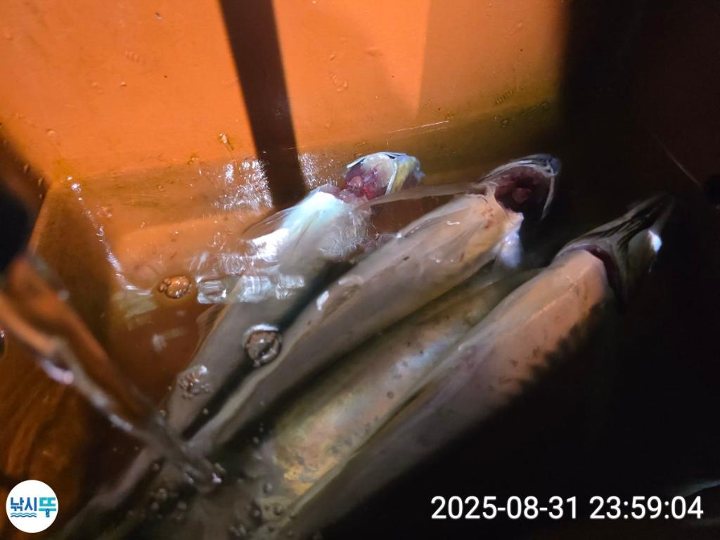 F2767895V7.jpg