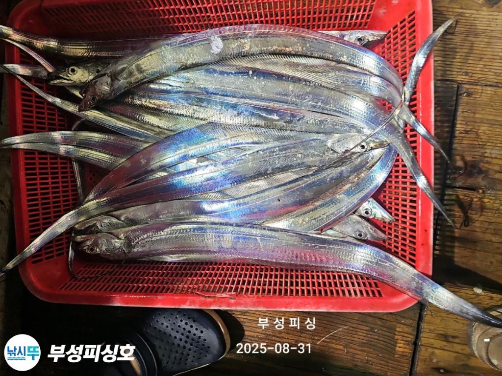 F2768178BU.jpg