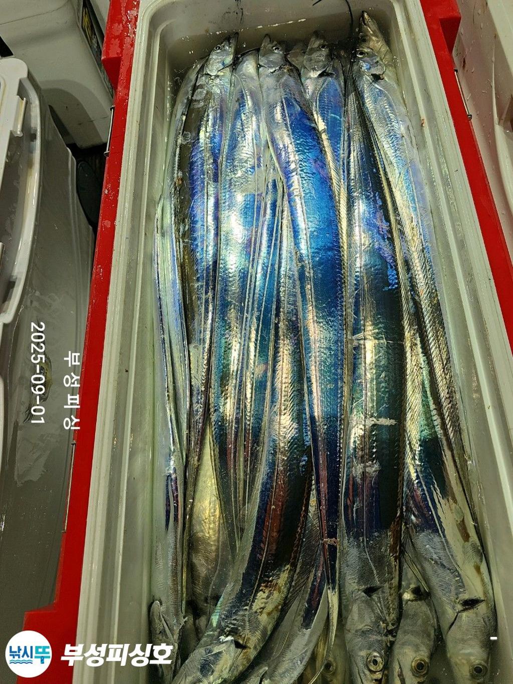 F276817966.jpg