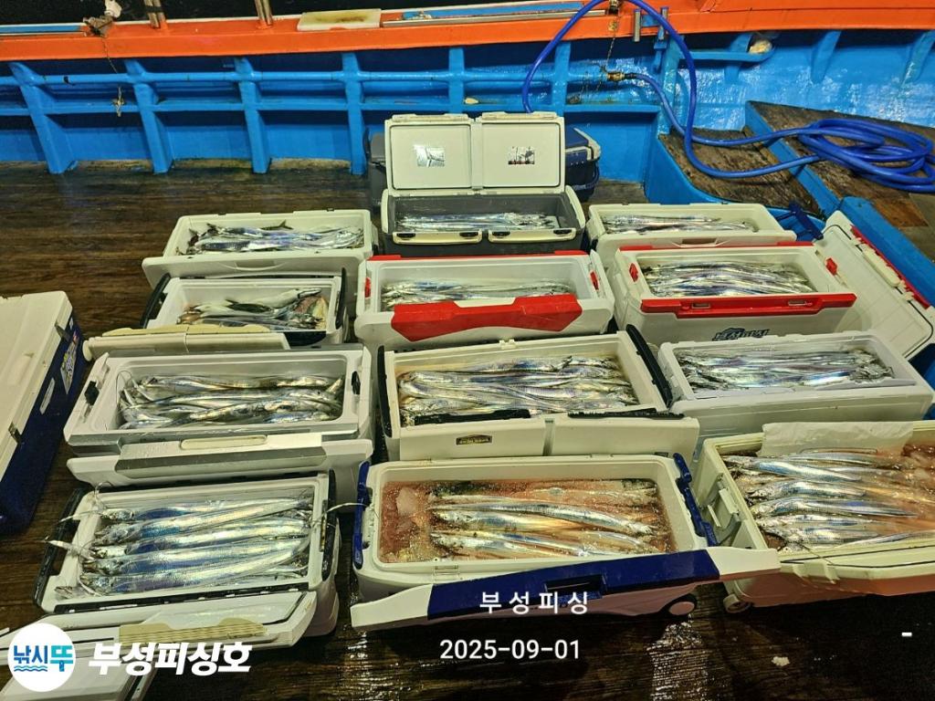 F2768183KH.jpg