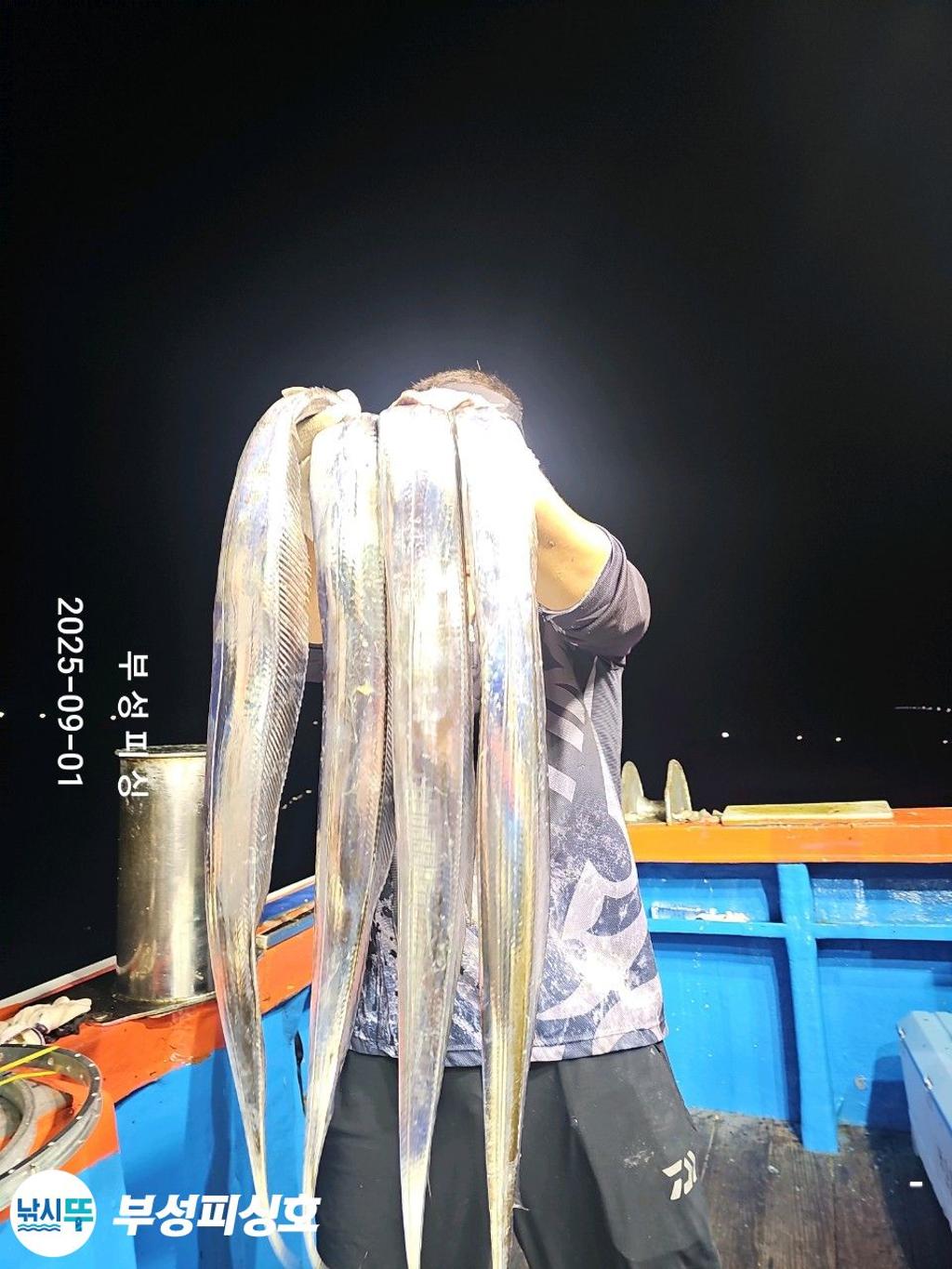 F276818951.jpg