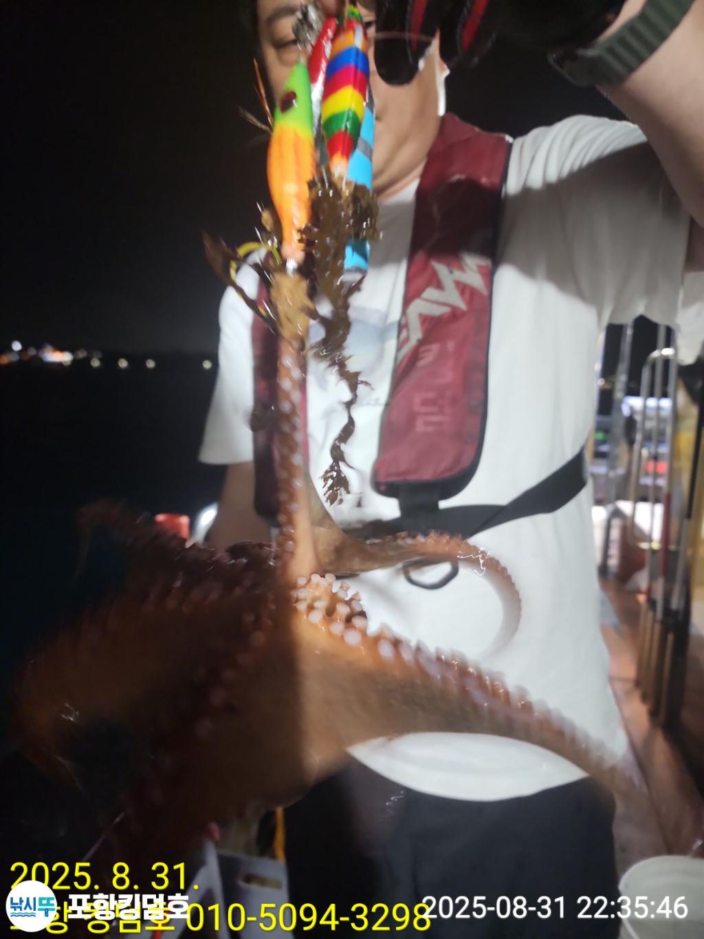 낚시뚜,돌문어,영일만항,포항 킹덤호,낚시뚜6