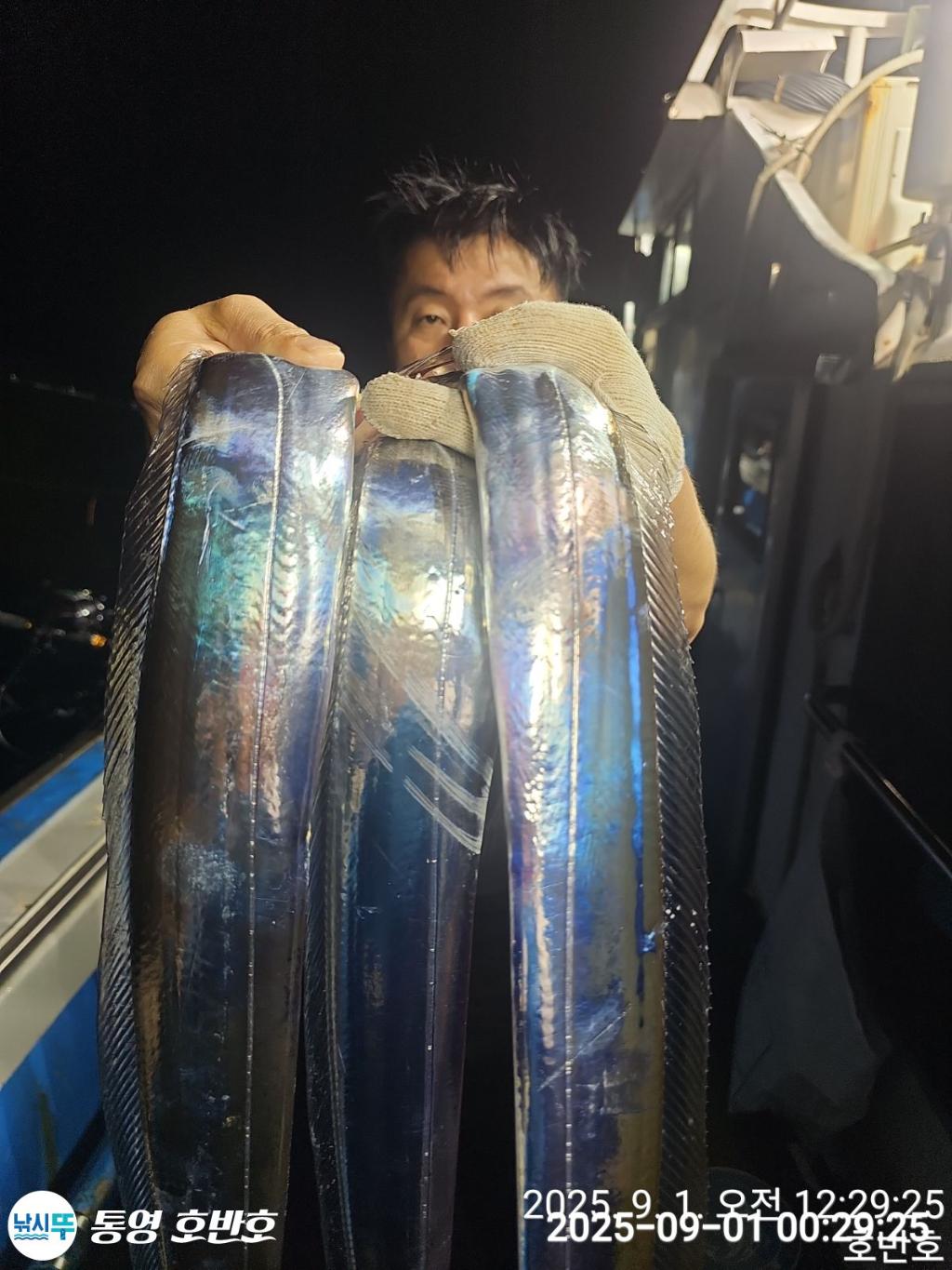 낚시뚜,갈치,통영 신전항,통영호반호,낚시뚜16