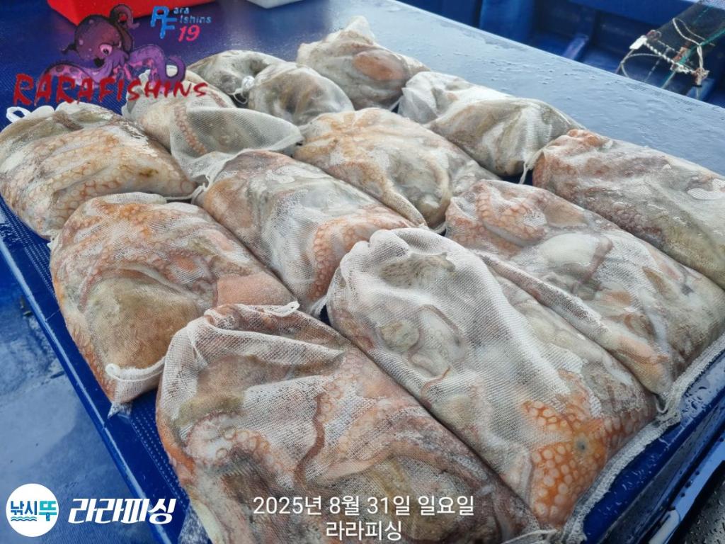 F2768687PC.jpg