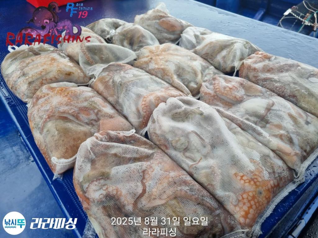 F2768688UF.jpg