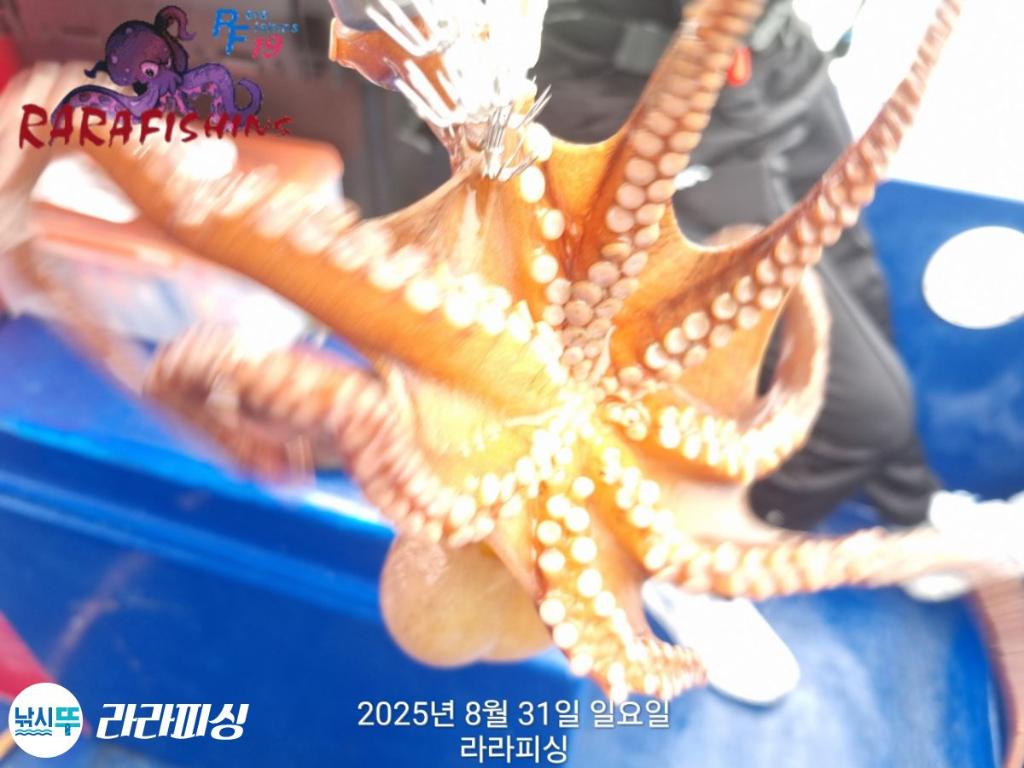 F2768693UH.jpg
