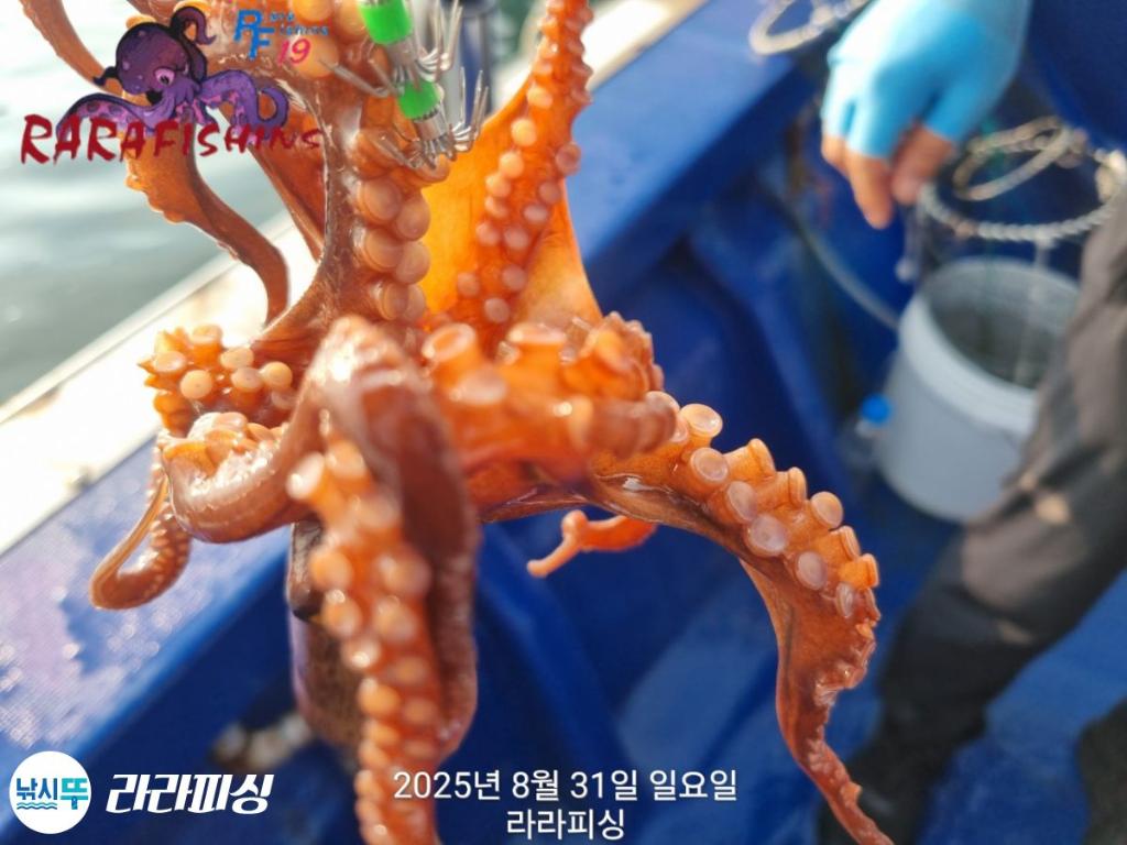 F2768707NE.jpg