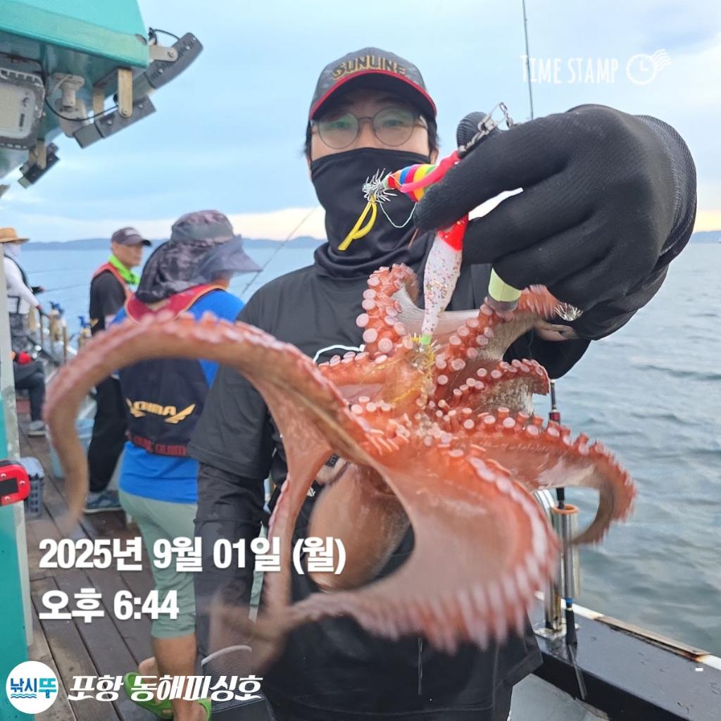 낚시뚜,돌문어,포항(운하관),포항 동해피싱호,낚시뚜4
