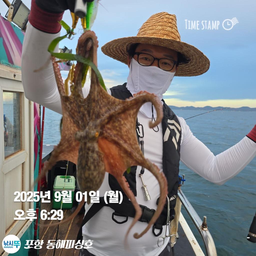 낚시뚜,돌문어,포항(운하관),포항 동해피싱호,낚시뚜3