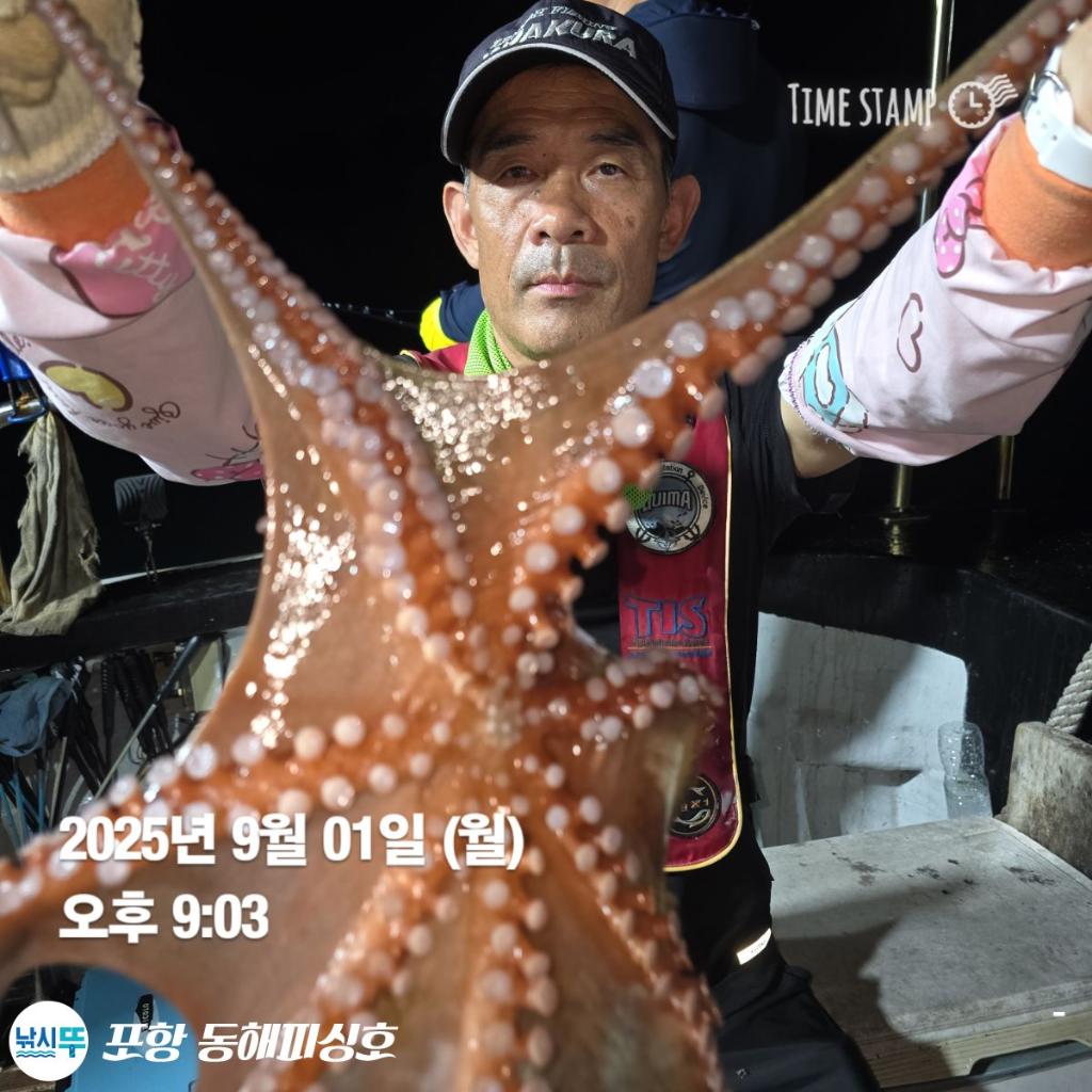 낚시뚜,돌문어,포항(운하관),포항 동해피싱호,낚시뚜0