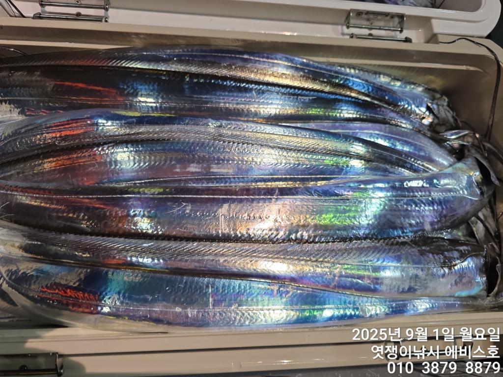 F27689758E.jpg