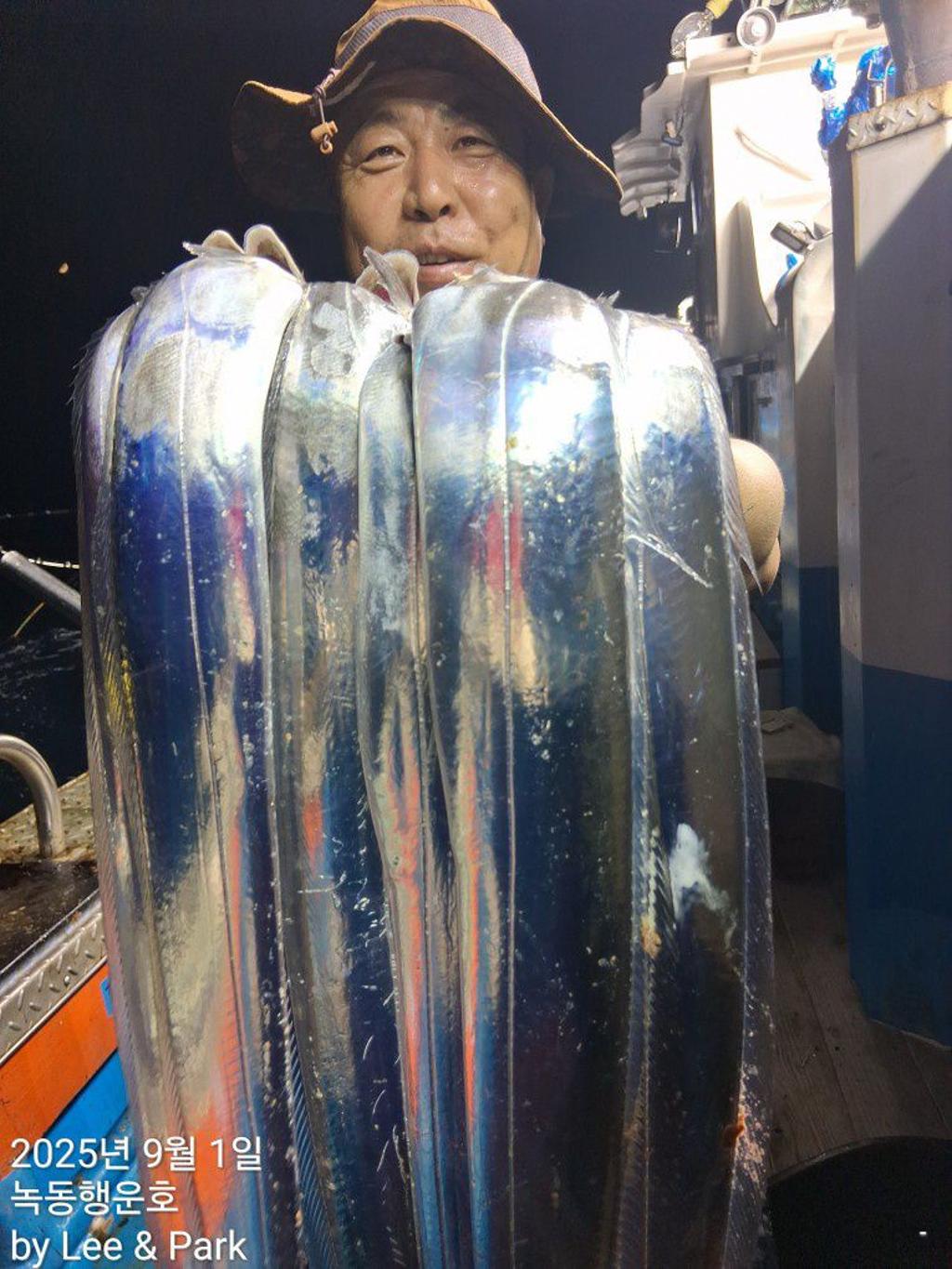 낚시뚜,갈치,녹동항,녹동대성호,낚시뚜20