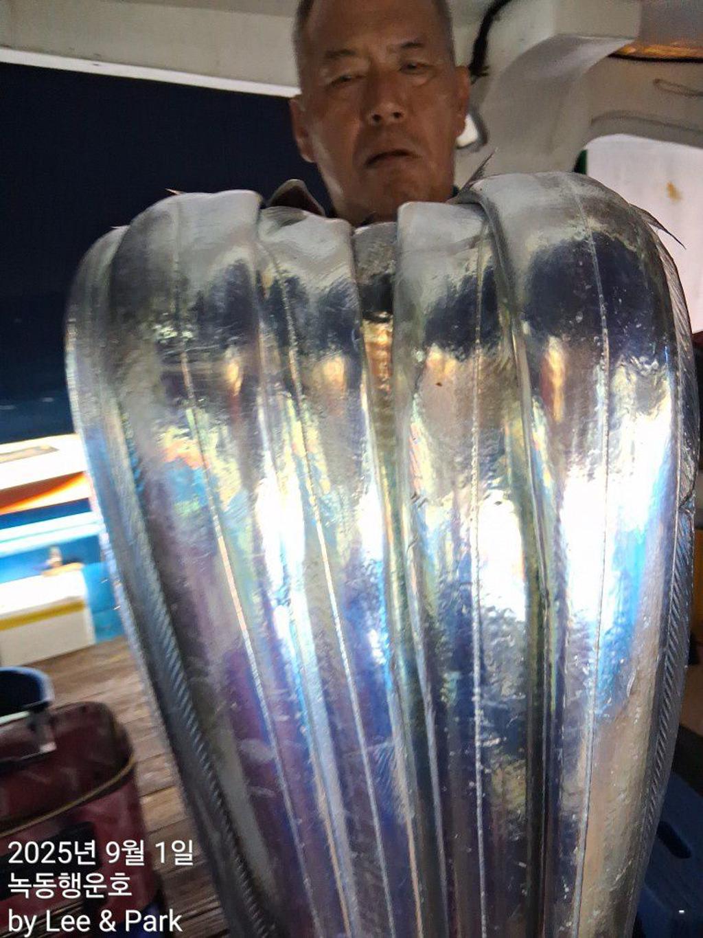 낚시뚜,갈치,녹동항,녹동대성호,낚시뚜19