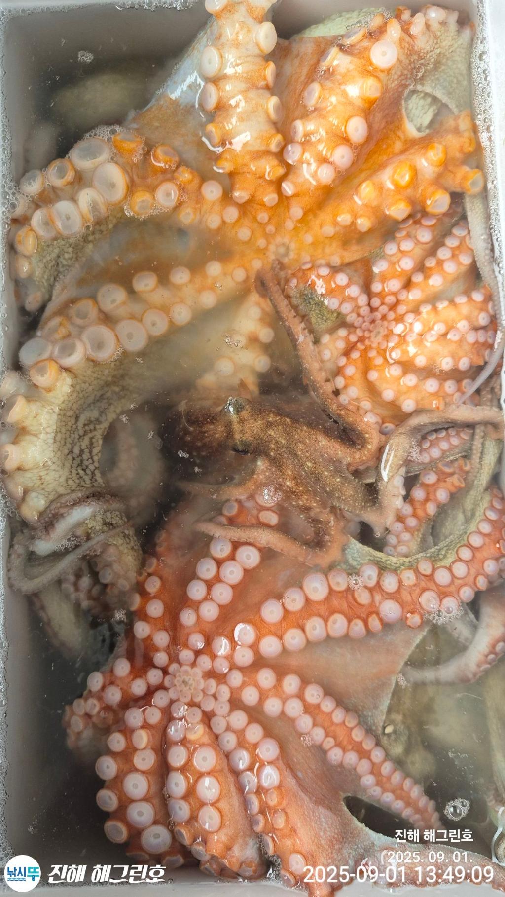 F27692563F.jpg