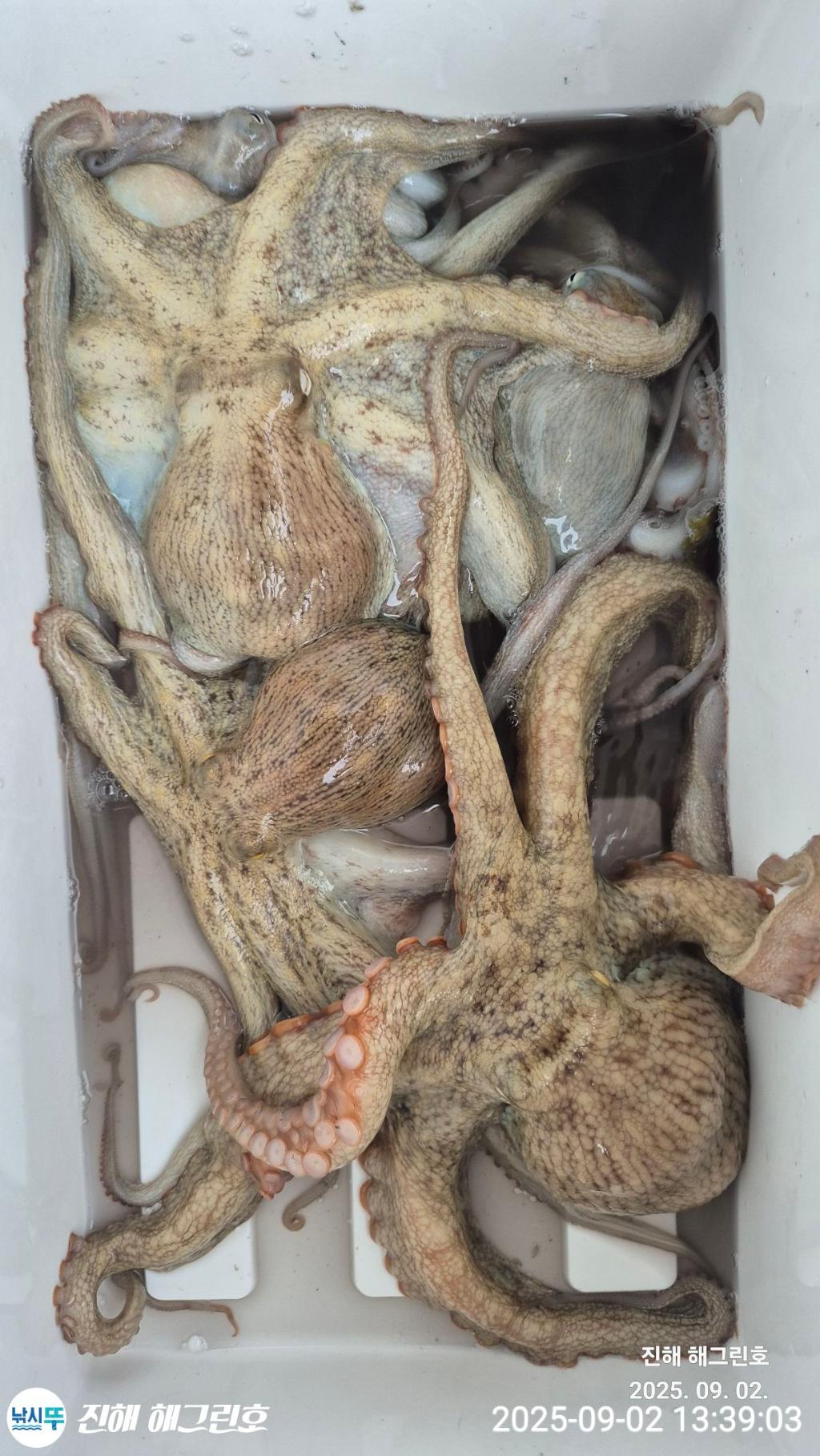 F276926096.jpg