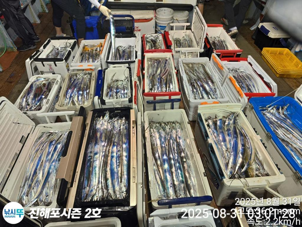 낚시뚜,갈치,진해행암항,진해포시즌 2호,낚시뚜3