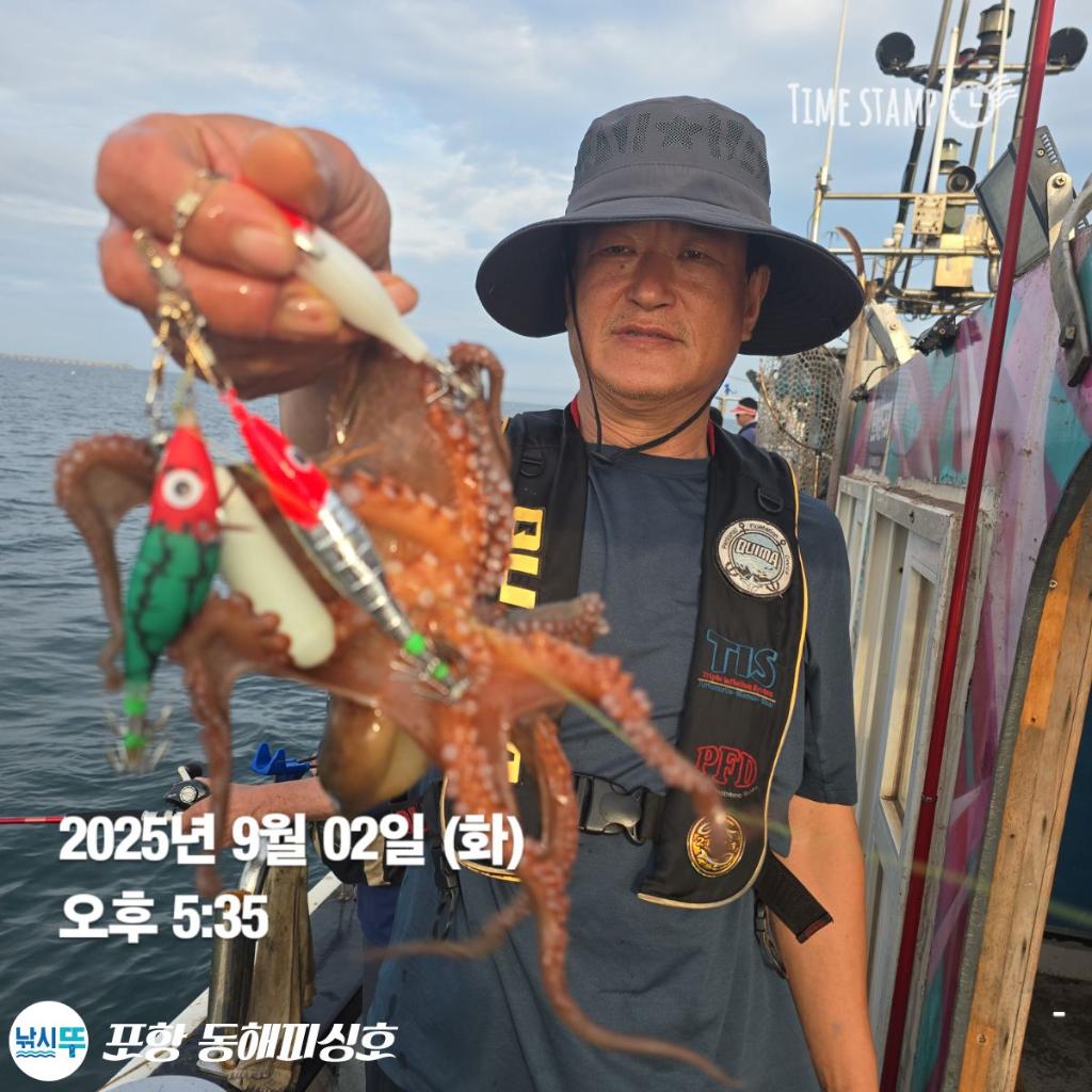 낚시뚜,돌문어,포항(운하관),포항 동해피싱호,낚시뚜8