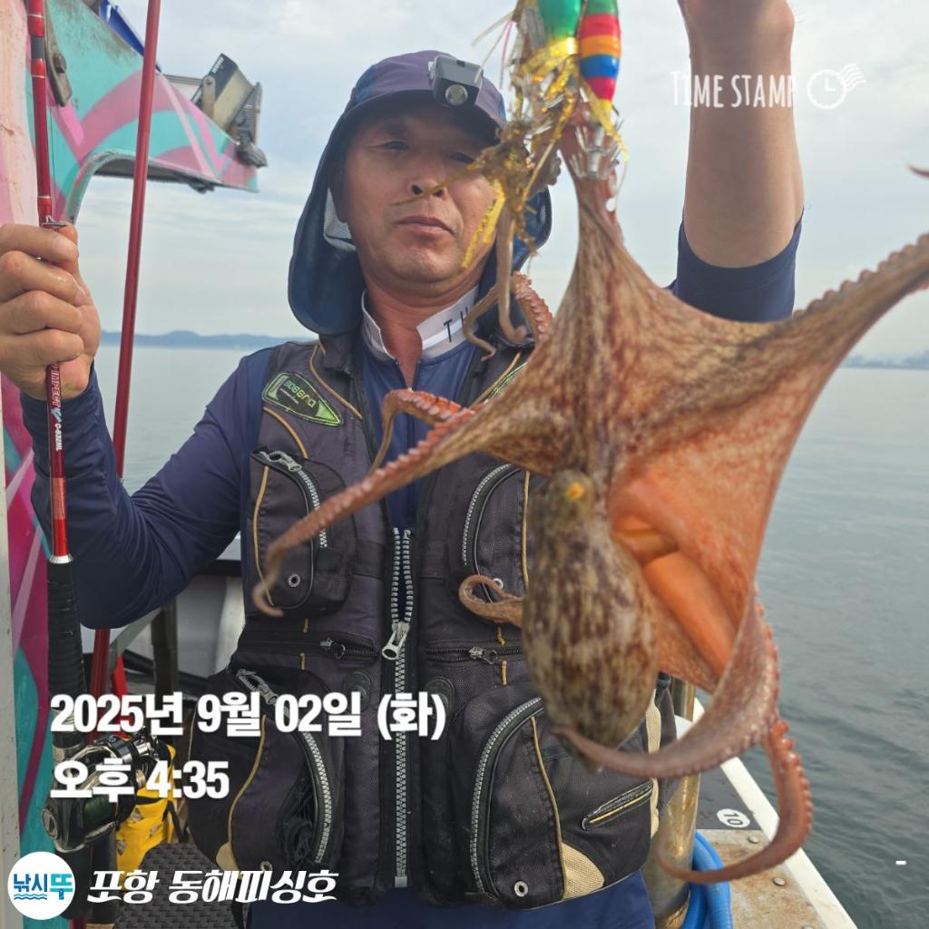 낚시뚜,돌문어,포항(운하관),포항 동해피싱호,낚시뚜7