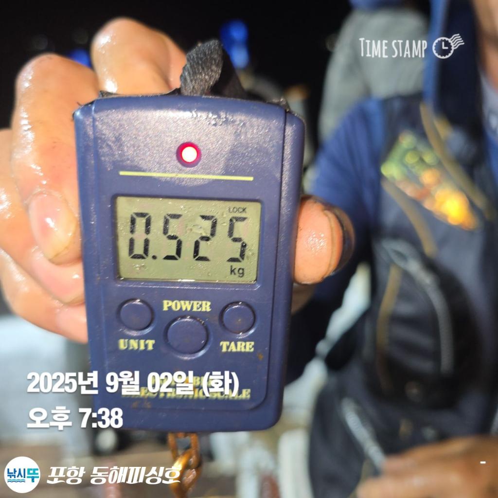 낚시뚜,돌문어,포항(운하관),포항 동해피싱호,낚시뚜4
