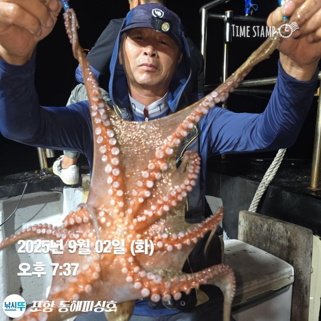 낚시뚜,돌문어,포항(운하관),포항 동해피싱호,낚시뚜3